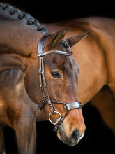 PS of Sweden High Jump Bridle